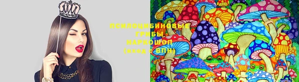 ГАЛЛЮЦИНОГЕННЫЕ ГРИБЫ Баксан