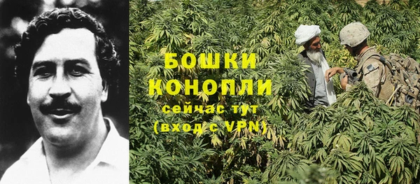 сатива Балабаново