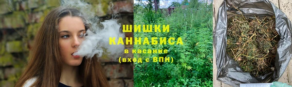 ГАЛЛЮЦИНОГЕННЫЕ ГРИБЫ Баксан