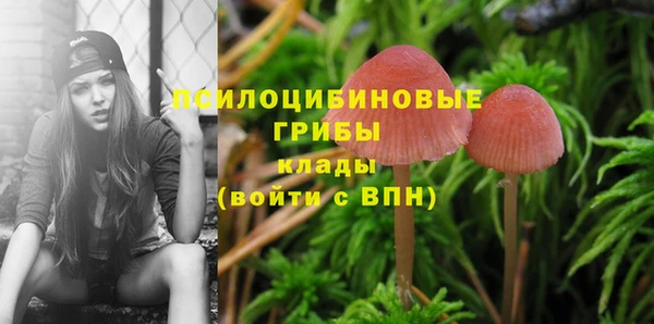 ГАЛЛЮЦИНОГЕННЫЕ ГРИБЫ Баксан